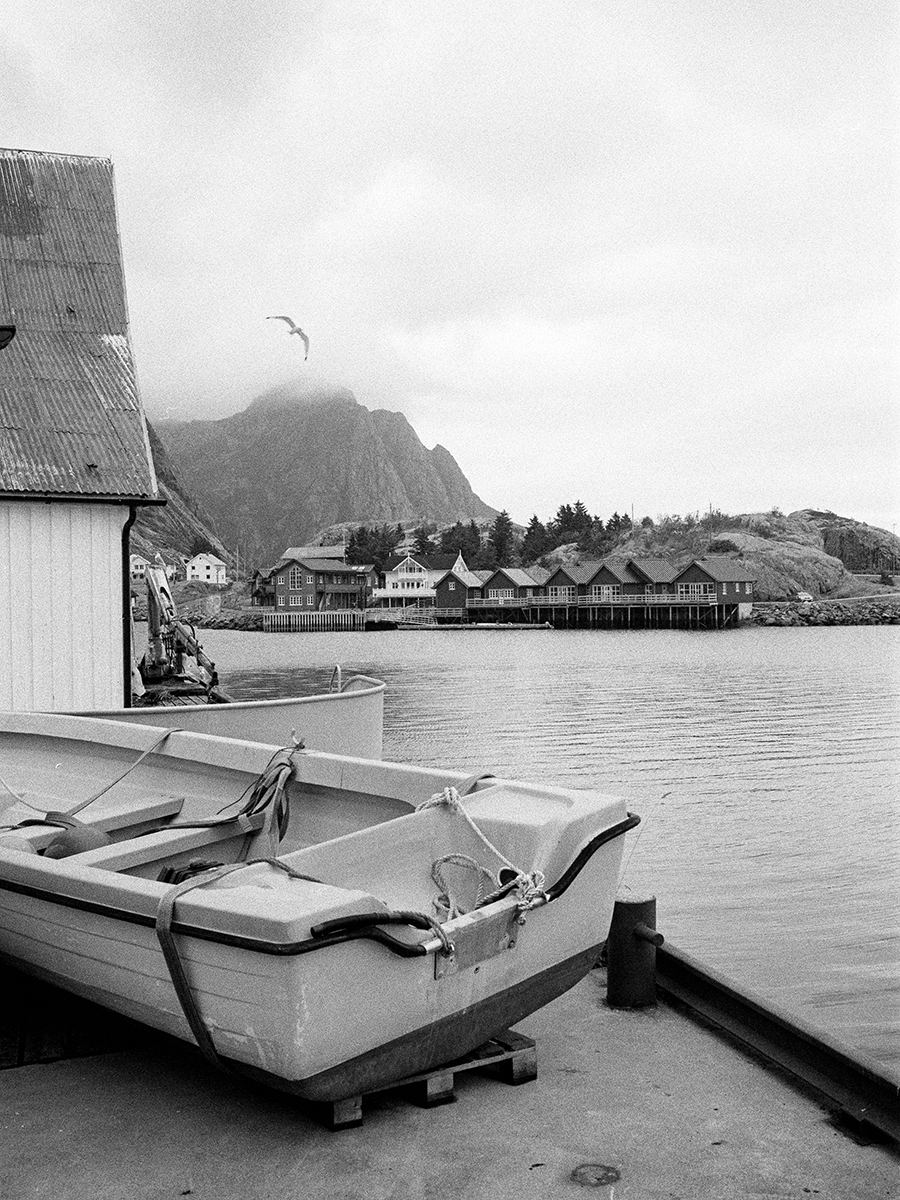 Lofoten Harbor Scene